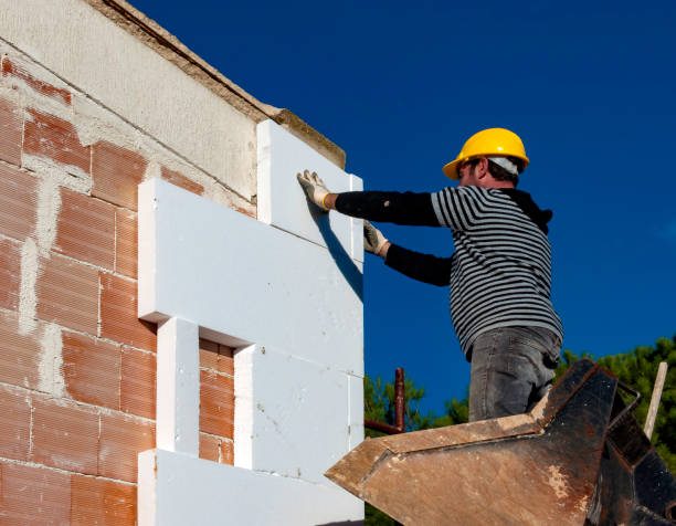 Best Insulation Repair Services  in South Houston, TX